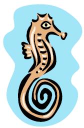 seahorse