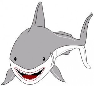 shark