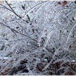 ice storm