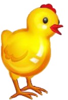 chicken