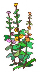 flowers